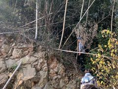 -午潮山国家森林公园