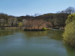 -鲁山国家森林公园