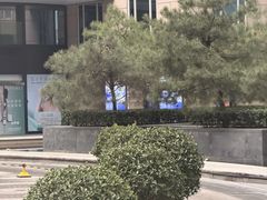 -瑞尔齿科(东方广场诊所)