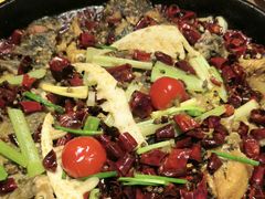 -老板恋上鱼(恒隆广场店)