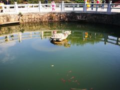 -白马涧龙池景区