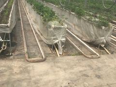 -苏州太湖西山岛开心农场