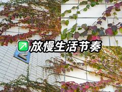-中国农业博物馆