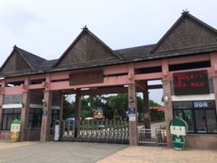 -上海都市菜园