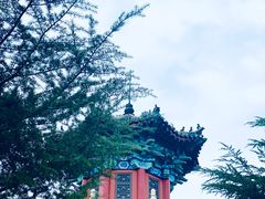 -龙口南山旅游景区
