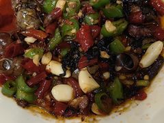 -江味龙虾馆·裸蓝龙虾(南山店)