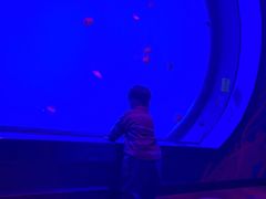 -沈阳海洋探索中心