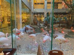 门面-白虎自助餐厅·真老虎·景观自助餐厅(广州长隆酒店)