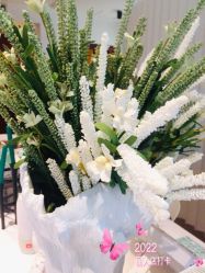 -姜美堂·蒸姜除湿の纤体美颜馆