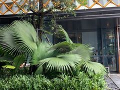 -王权免税店(普吉市区店)