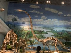 -自贡恐龙博物馆