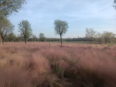 -汉长安城未央宫国家考古遗址公园