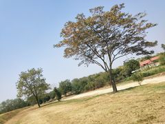 -盘龙城国家考古遗址公园