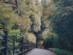 -广州市白云山风景名胜区