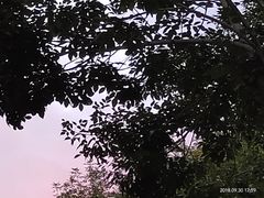 -肘子酥·天津菜·特色捞面(德云社店)