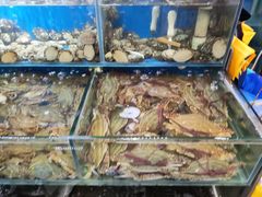 -岳各庄批发市场(西四环中路店)