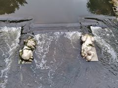 -原鄉本味 楚菜 丹江口鱼(北苑店)