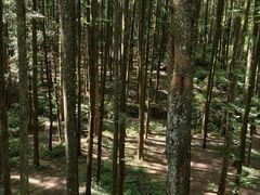 -山王坪喀斯特国家生态公园