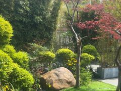 -虹之森·小馆