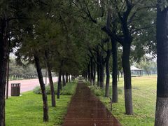 -汉长安城未央宫国家考古遗址公园