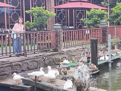 -香山小厨(南联路店)