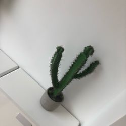 -OAE日式皮肤管理お肌の