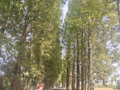 -兰桂坊·花园餐厅(西湖店)