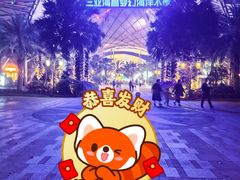 -三亚海昌梦幻海洋不夜城