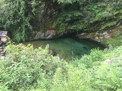 -苍山感通索道
