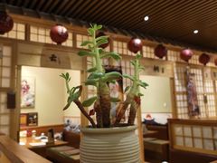 -鮨桐日本料理(望京店)