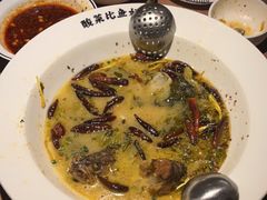 -太二酸菜鱼(武汉光谷保利店)