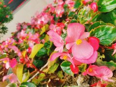 -风云岭森林公园