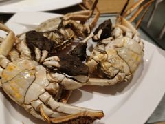 螃蟹-长春高新益田福朋喜来登酒店·宜客乐标帜餐厅