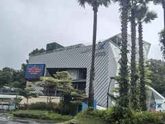 -圣淘沙天际线斜坡滑车