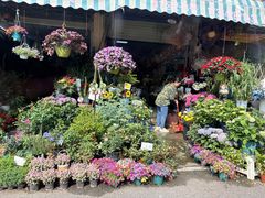 -广西壮族自治区药用植物园