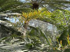 -国家植物园南园