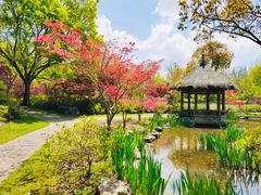 -上海滨江森林公园