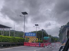 -野象谷景区