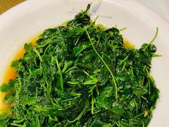 -松沪名灶·豆浆鱼头·新上海菜(飞航吾悦广场店)