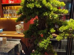 -宴礼烤鸭本味菜(蠡县商业步行街店)