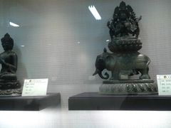 -紫竹院公园冰场