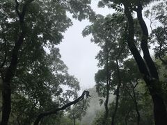 -狼牙山风景区