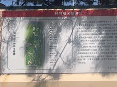 -玲珑塔公园