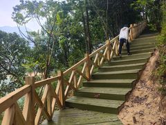 -广州市流溪河国家森林公园