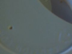 -星巴克(佛山南海万科店)