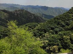 -大岭沟猕猴桃谷风景区
