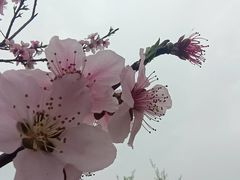 -堤角公园