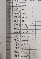 -苗塑堂减肥·艾灸