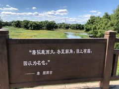 -北京麋鹿生态实验中心
