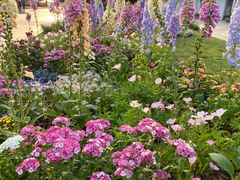 -深圳国际园林花卉博览园